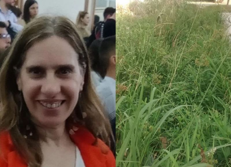 San Carlos: se suman los reclamos por corte de pasto e iluminación