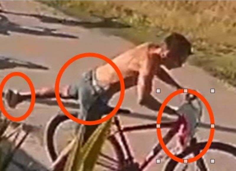 VIDEO | Hernández: robó una bicicleta a una nena, quedó filmado y fue detenido en un allanamiento