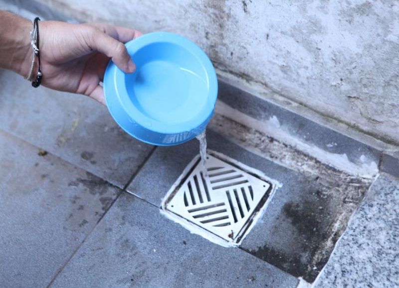 VIDEO | Tras las últimas lluvias, solicitan reforzar el descacharrado en los hogares para prevenir el dengue