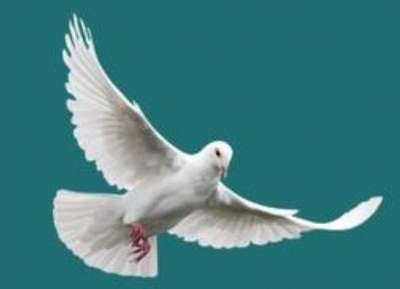 Falleció Alicia Graciela Amprimo de Vázquez