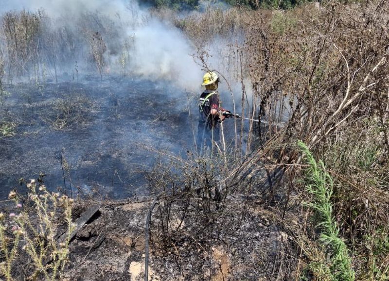 VIDEO | Tierra arrasada: intento de usurpación en Arturo Seguí termina en incendio y alerta vecinal