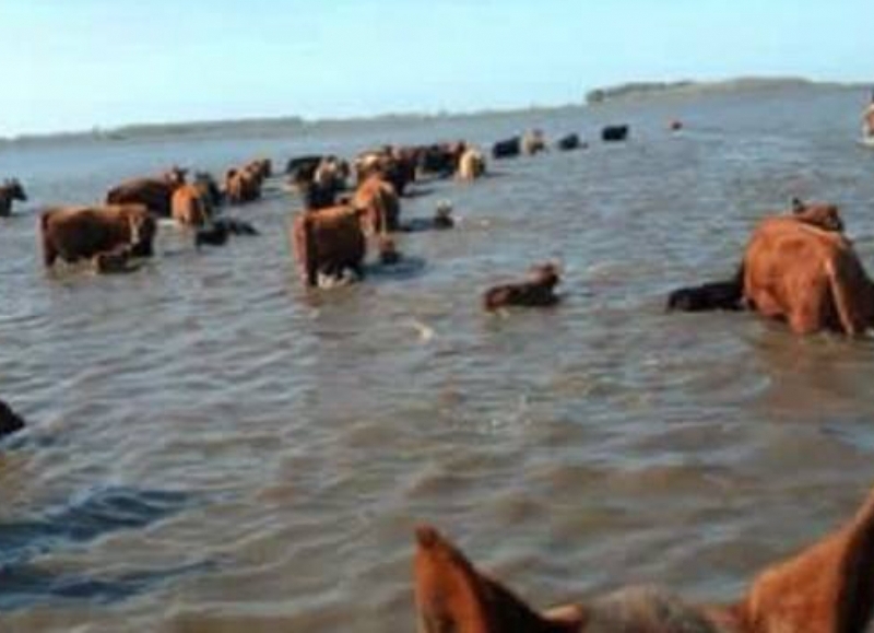 Punta Indio en estado de emergencia por el avance del agua