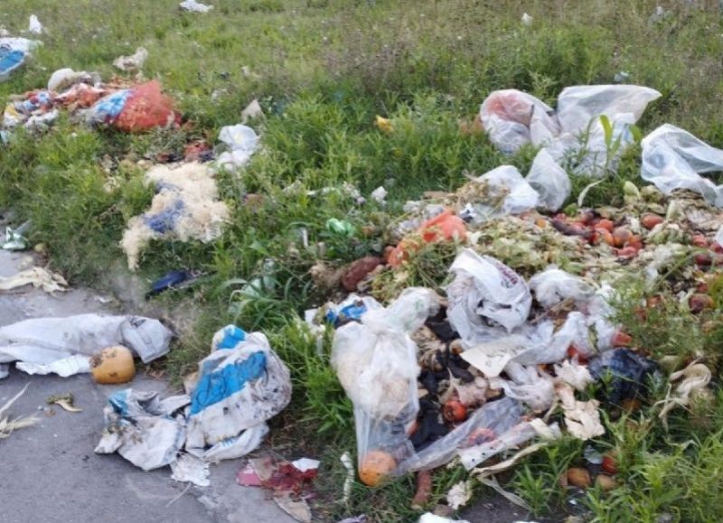 Vecinos de Villa Elvira denuncian basurales crónicos y abandono en la zona de 79 y 118