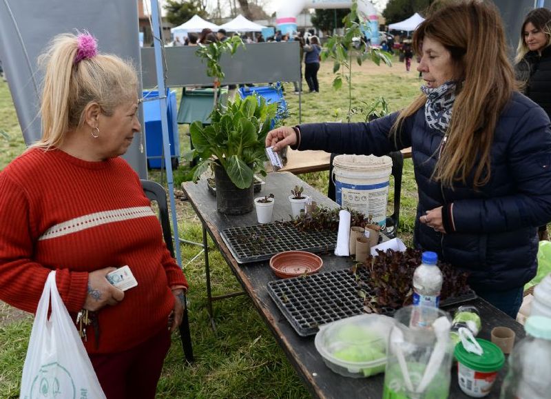 Ringuelet recibe una jornada integral con asesoramiento, talleres, trámites y servicios de salud