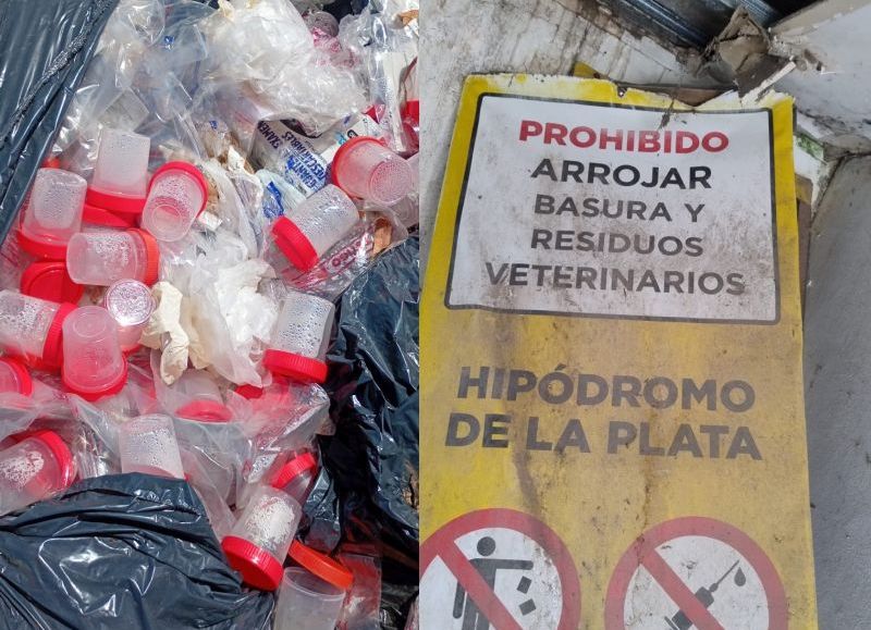 VIDEO | Mariano Cowen sigue sumando denuncias sobre su gestión en el Hipódromo platense