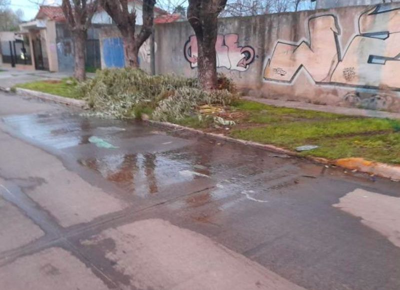 Ensenada: reclamo de vecinos por una enorme pérdida de agua en la calle Quintana