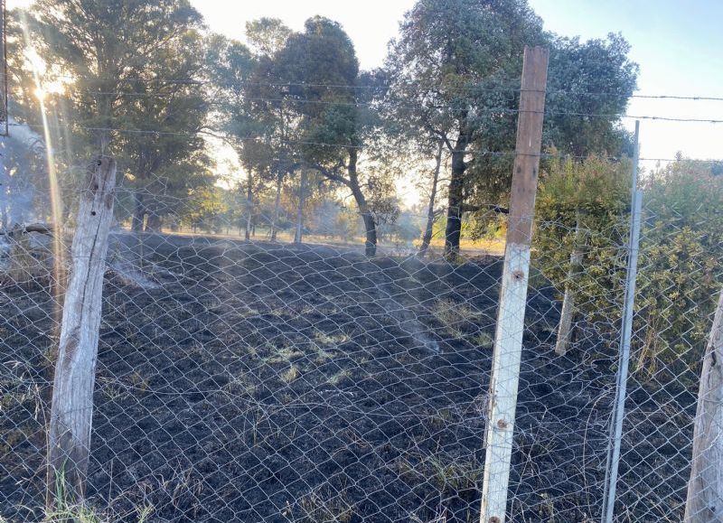 Incendio de pastizales en un campo de golf generó tensión en City Bell