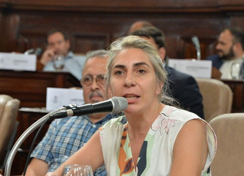 Concejal del PRO más cerca de Milei que de Macri