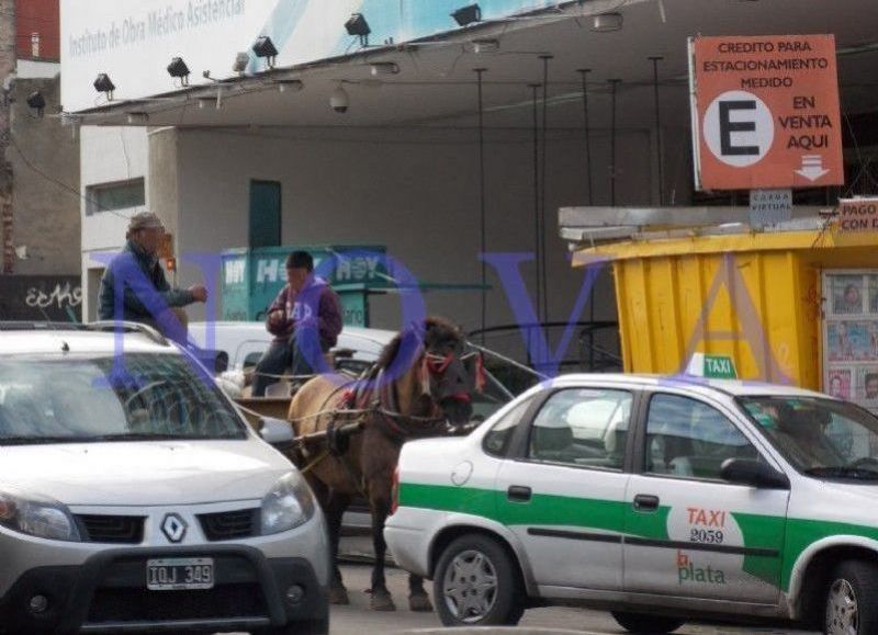Cómo funcionarán los servicios en relación al paro del martes 30 y el feriado por el "Día del Trabajador"