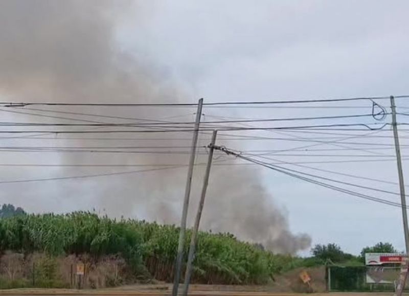 Un nuevo incendio en un cañaveral de Villa Elvira generó pánico en casas vecinas